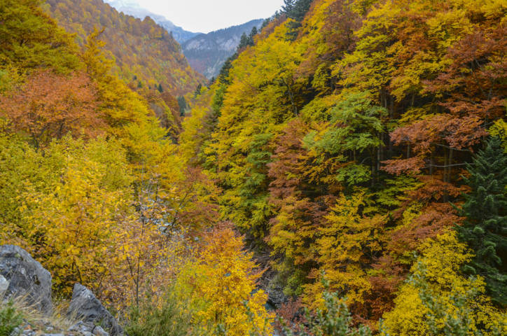 Huesca - valle de Bujaruelo 47.jpg